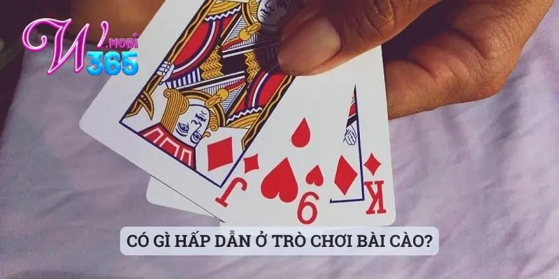 Cách Đánh Bài Cào Thắng - Mẹo Hay Cho Anh Em Từ Sảnh W365 1 Có gì hấp dẫn ở trò chơi bài cào?