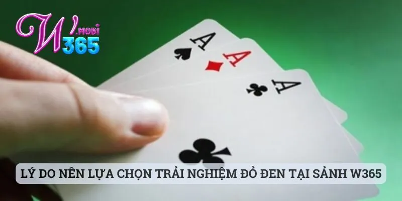 Liêng Cào Tố 3 Cây Và Những Thông Tin Cược Thủ Cần Biết 3 Lý do nên lựa chọn trải nghiệm đỏ đen tại sảnh W365