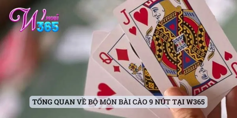 Cách Chia Bài Cào 9 Nút Đơn Giản Mà W365 Chia Sẻ Đến Bạn 1 Tổng quan về bộ môn bài cào 9 nút tại w365